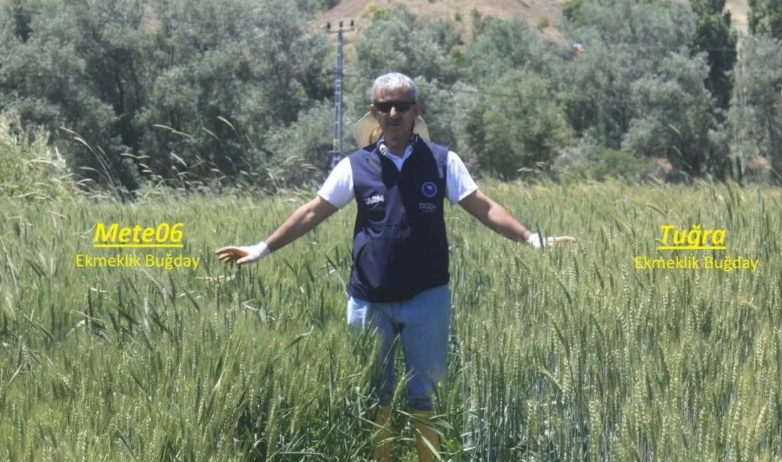 Yozgat İl Tarım ve Orman Müdürlüğü, Sarıkaya ve Şefaatli ilçelerinde