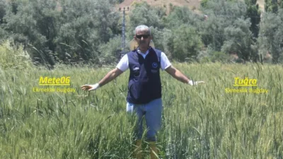 Yozgat İl Tarım ve Orman Müdürlüğü, Sarıkaya ve Şefaatli ilçelerinde