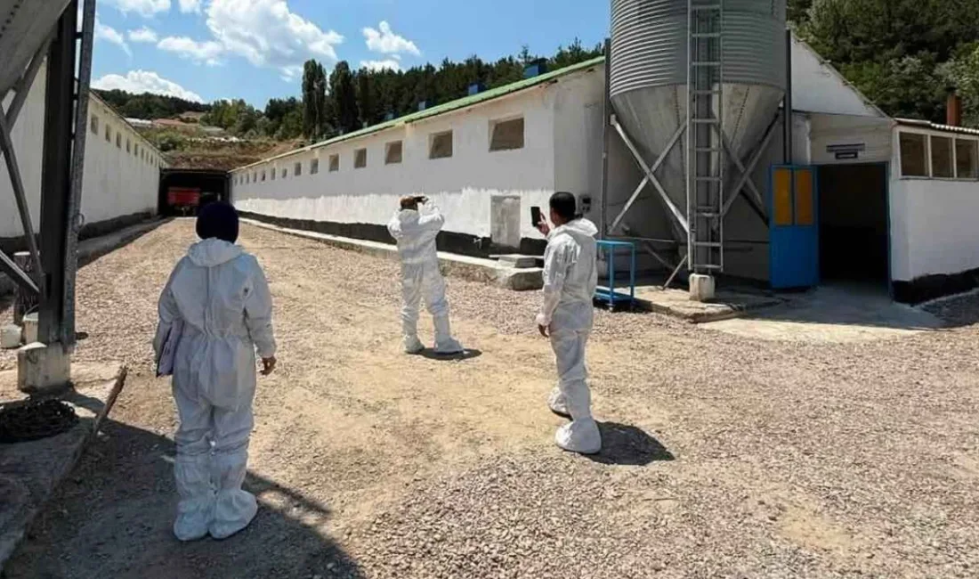 Yozgat İl Tarım ve Orman Müdürlüğü, il genelindeki ticari kanatlı