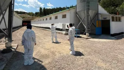 Yozgat İl Tarım ve Orman Müdürlüğü, il genelindeki ticari kanatlı