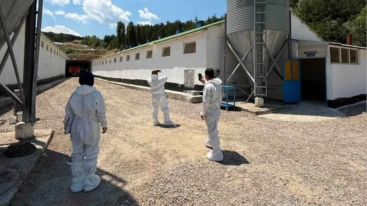 Yozgat İl Tarım ve Orman Müdürlüğü, il genelindeki ticari kanatlı