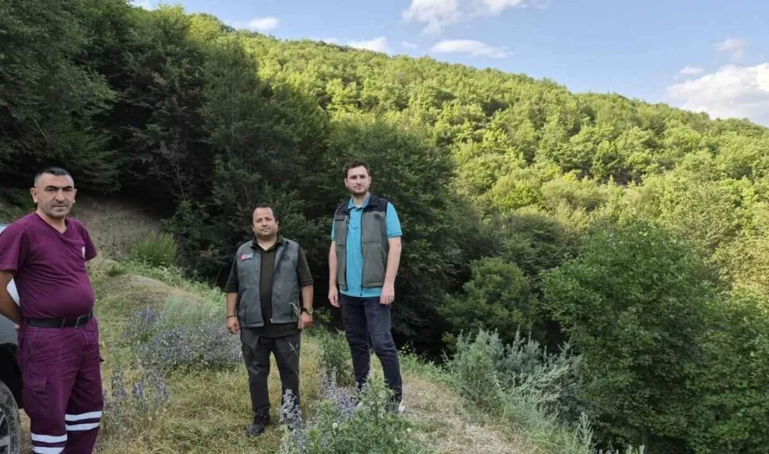 Yozgat Orman İşletme Müdürü İslam Uslu, Aydıncık Orman İşletme Şefliği'nde