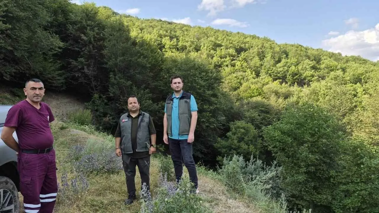 Yozgat Orman İşletme Müdürü İslam Uslu, Aydıncık Orman İşletme Şefliği'nde