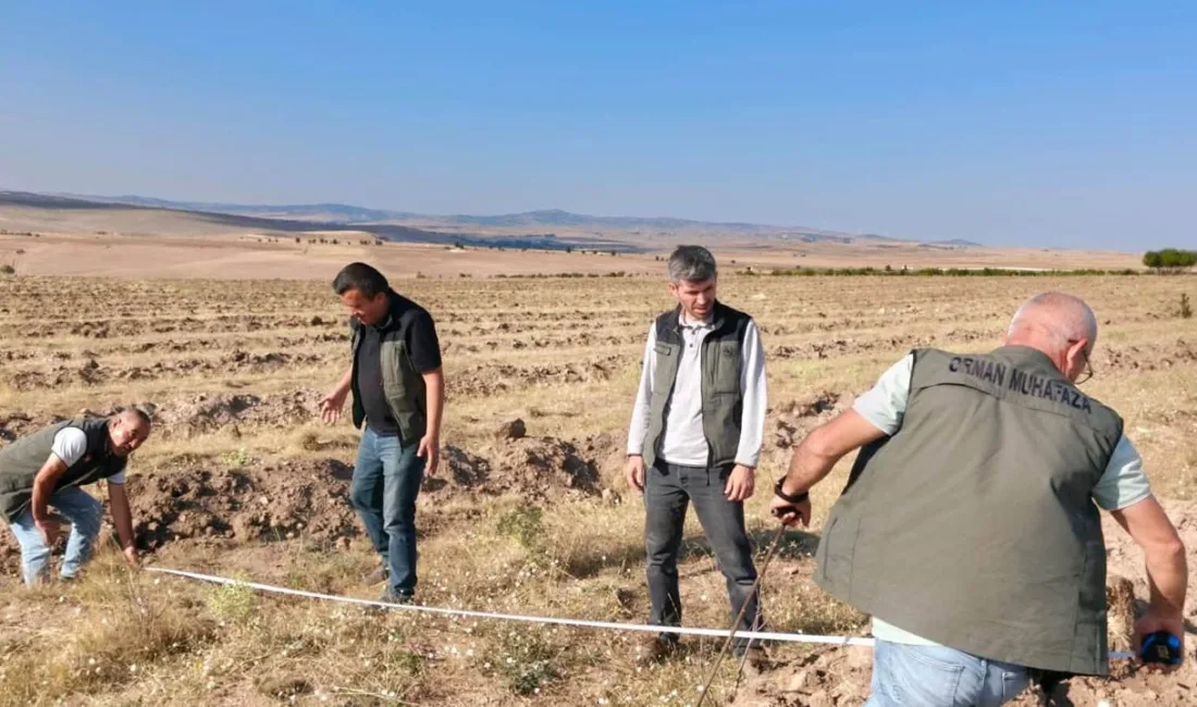 Yaklaşık 50 hektarlık alanın ağaçlandırılması için saha çalışmaları gerçekleştirildi. Sonbaharda