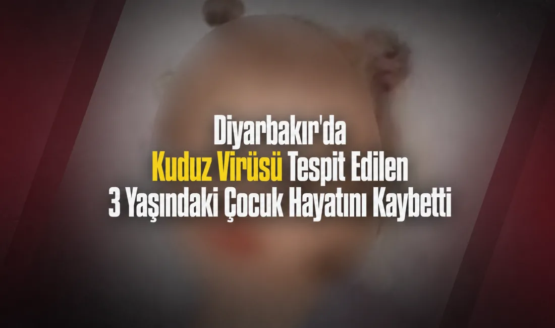 Diyarbakır'ın Sur ilçesinde, kedi tarafından tırmalanan 3 yaşındaki N.K., kuduz