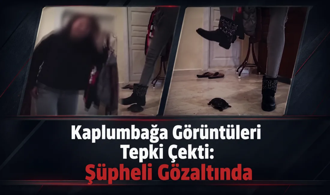 Zonguldak’ın Karadeniz Ereğli ilçesinde yaklaşık 15 yıl önce kaydedildiği değerlendirilen