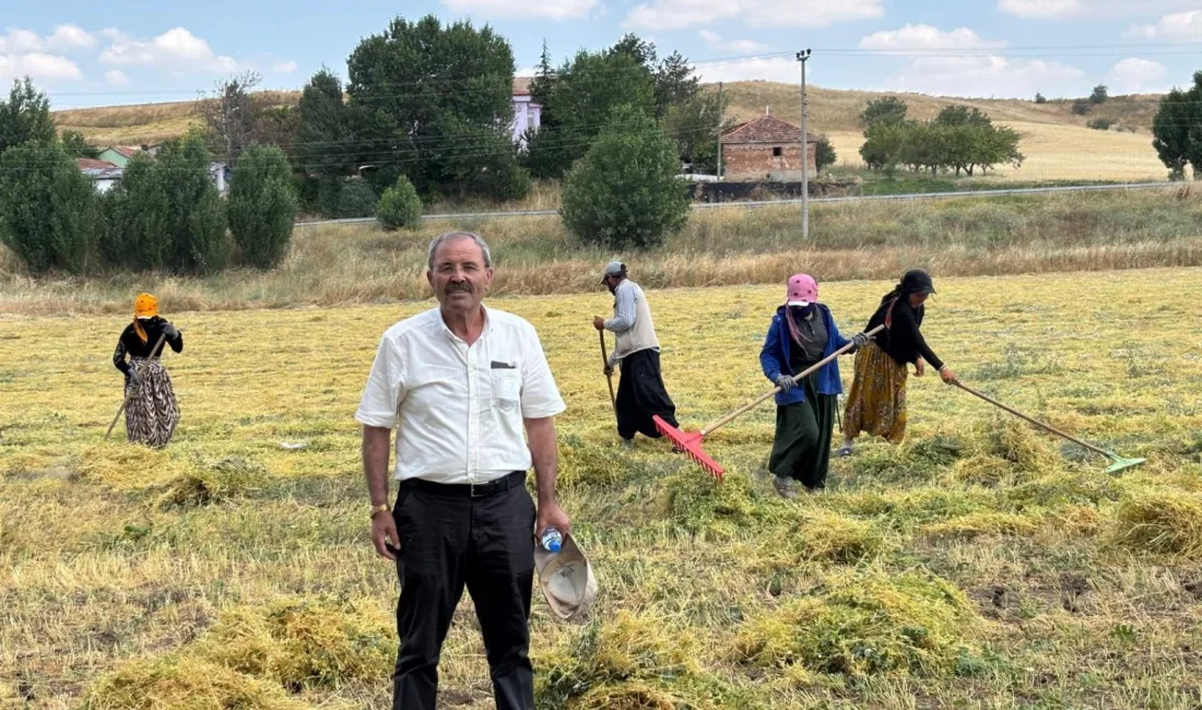 Yozgat’ta nohut ve yeşil mercimek üreticileri, taban fiyat açıklanmaması ve