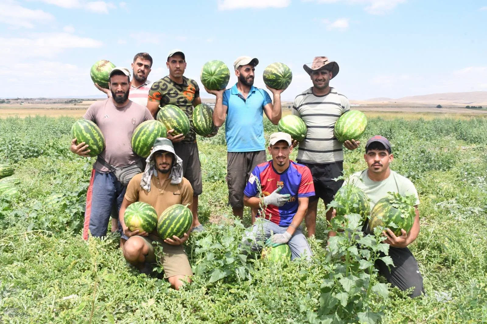 Yerköy'e bağlı Sekili köyünde yetiştirilen karpuzlarda hasat sezonu başladı. Geç