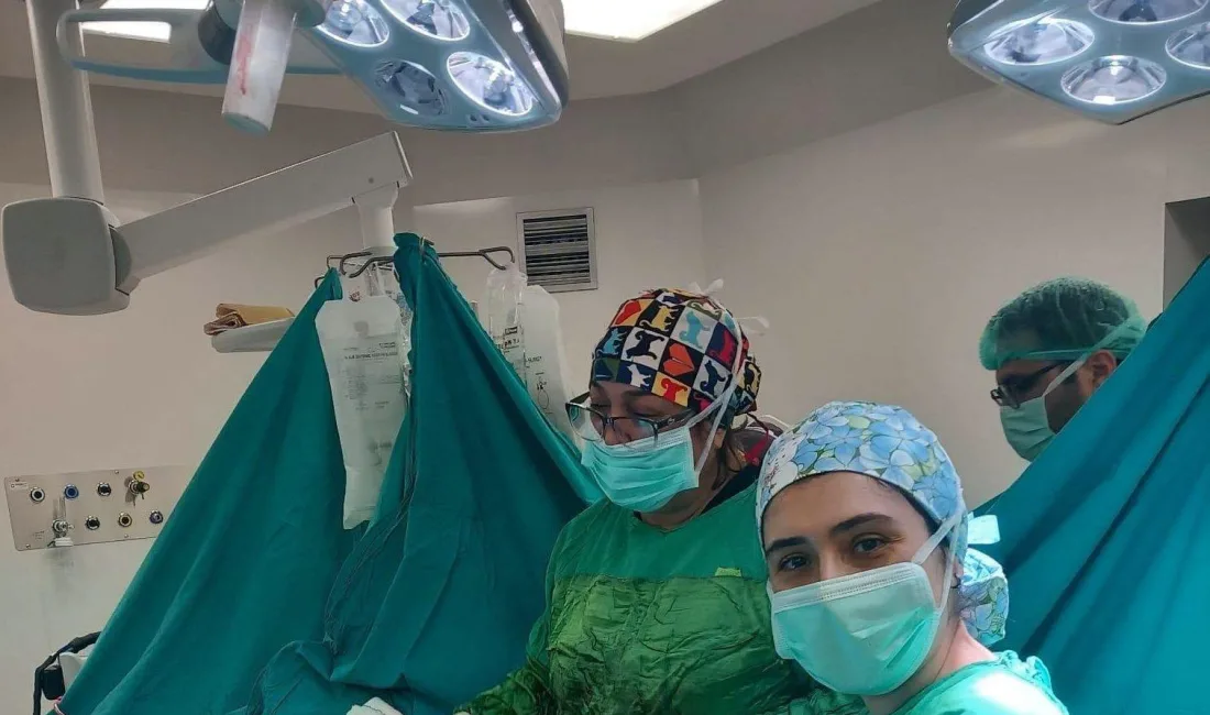 Yozgat Şehir Hastanesi, ileri düzey beyin cerrahisi uygulamalarında önemli operasyonlara