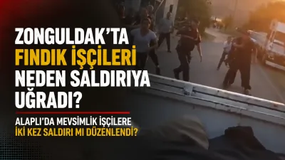 Silopi'den ekmek parası kazanmak amacıyla Zonguldak'a fındık toplamaya giden işçilere