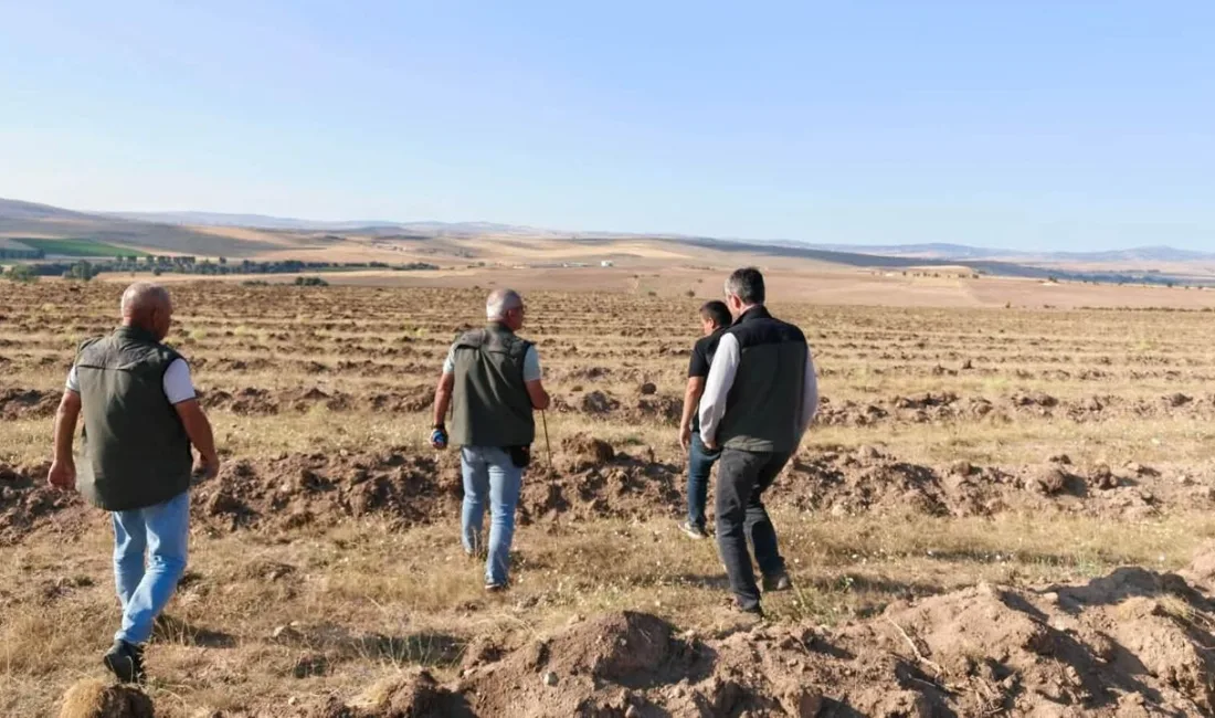 Yozgat Orman İşletme Müdürü İslam Uslu, Sorgun ilçesinde ormancılık faaliyetleri