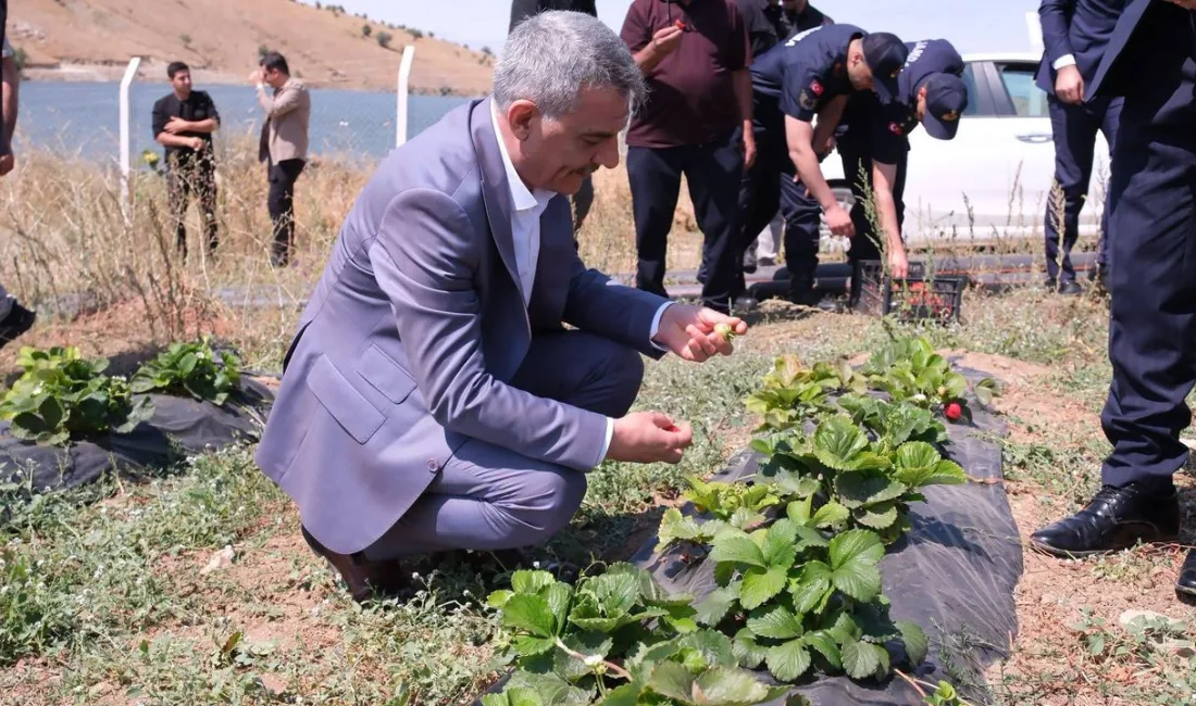 Yozgat Valisi Mehmet Ali Özkan, Doğankent Beldesi'nde yeni açılan tesisin