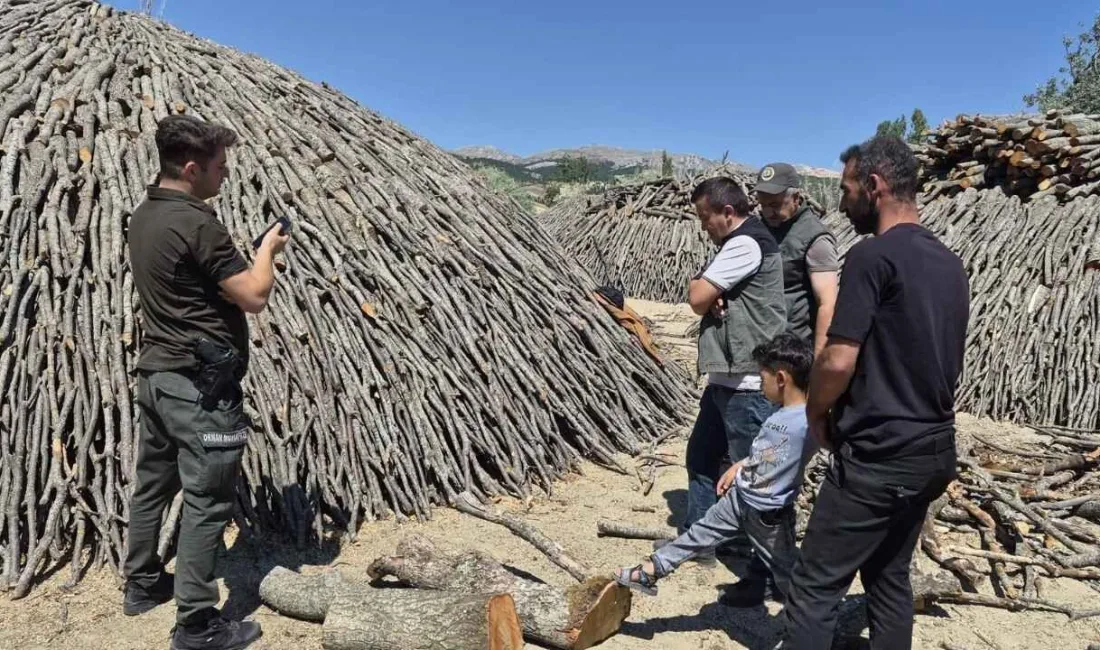Yozgat Orman İşletme Müdürlüğü, Sorgun Orman İşletme Şefliği'nde yürütülen orman