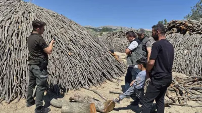 Yozgat Orman İşletme Müdürlüğü, Sorgun Orman İşletme Şefliği'nde yürütülen orman