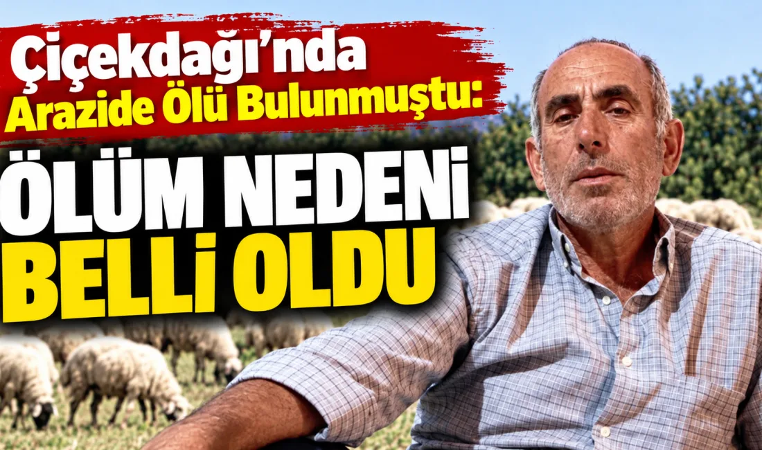 Çiçekdağı’nda hayvanlarını otlatmak için meraya giden 65 yaşındaki Ekrem Kartal,