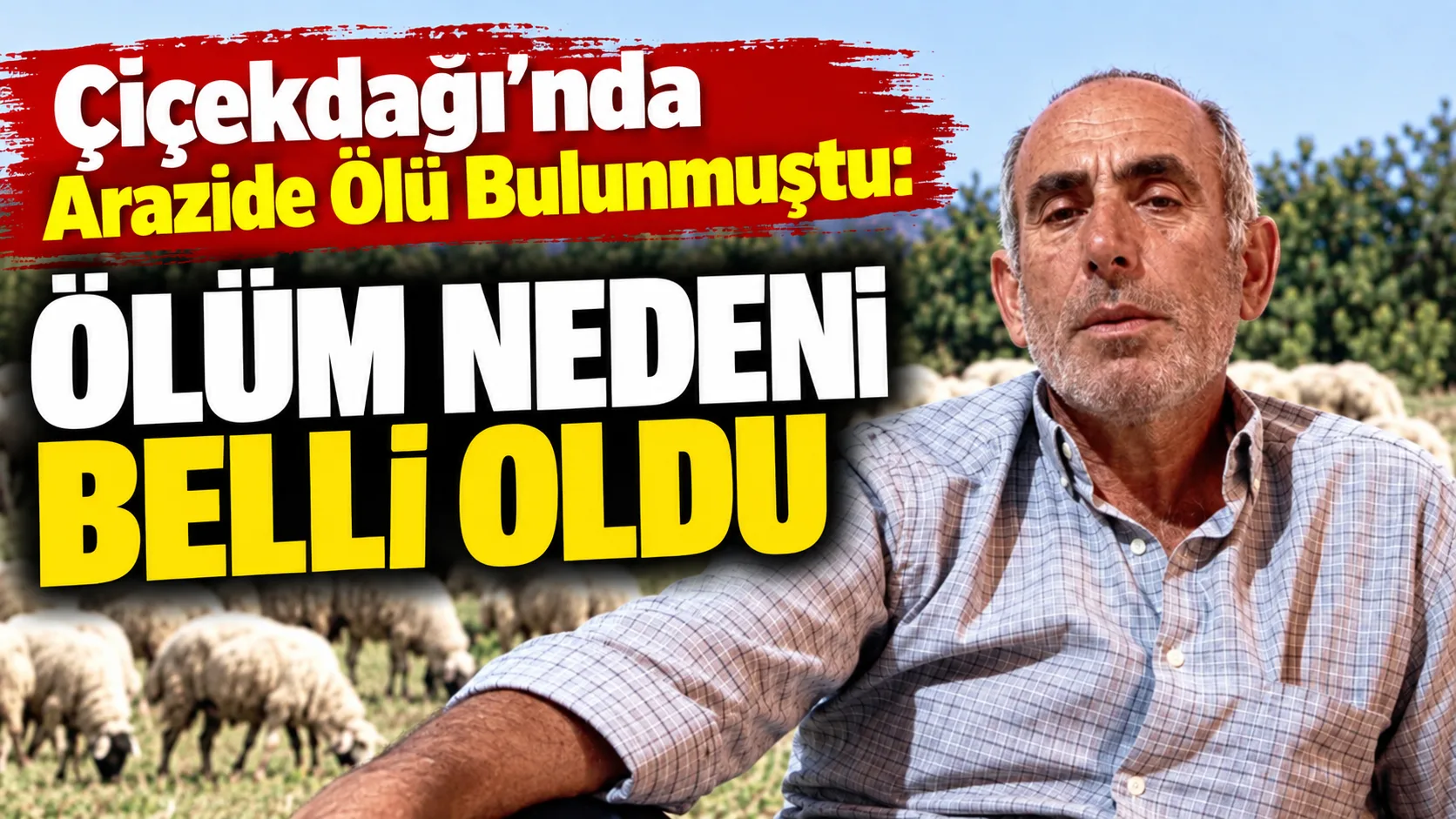 Çiçekdağı’nda hayvanlarını otlatmak için meraya giden 65 yaşındaki Ekrem Kartal,