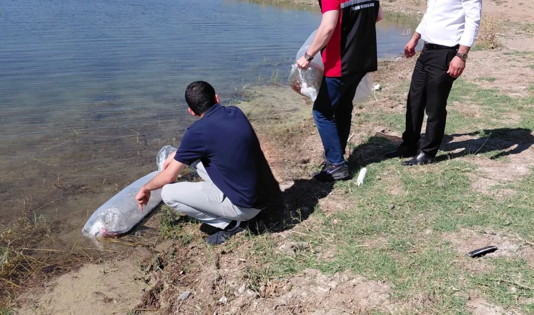 Yerköy’de su ürünleri varlığının korunması ve balık stoklarının güçlendirilmesi amacıyla