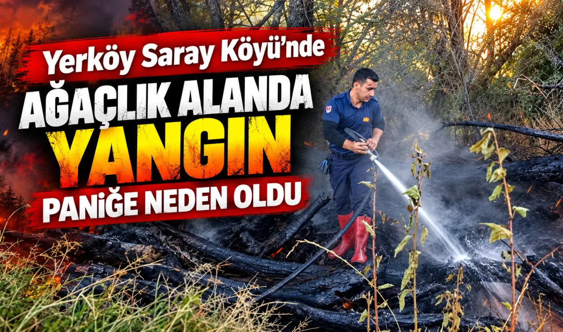Yerköy ilçemize bağlı Saray Köyü’nde, akarsu kenarında bulunan ağaçlık alanda