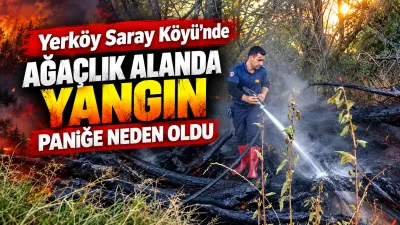 Yerköy ilçemize bağlı Saray Köyü’nde, akarsu kenarında bulunan ağaçlık alanda