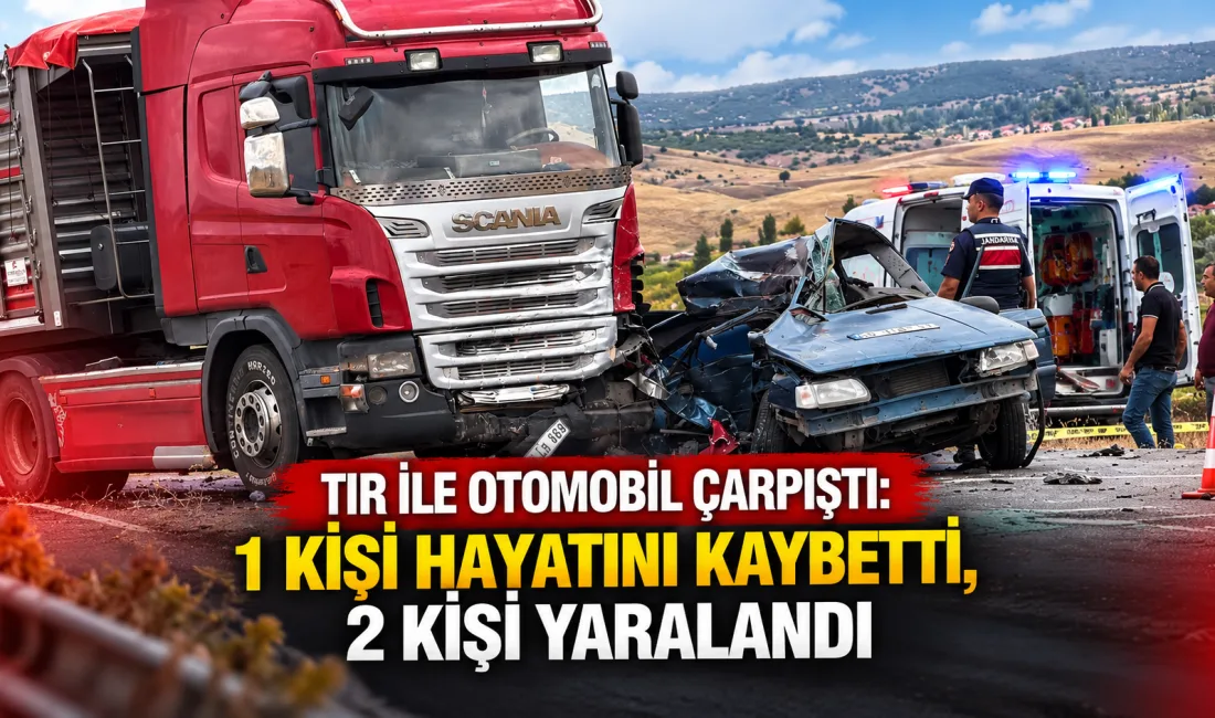 Tır ile otomobilin çarpışması sonucu meydana gelen trafik kazası can