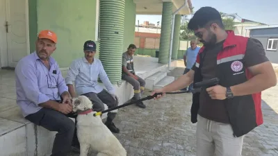 Yerköy İlçe Tarım ve Orman Müdürlüğü ile belediye ekipleri, başıboş