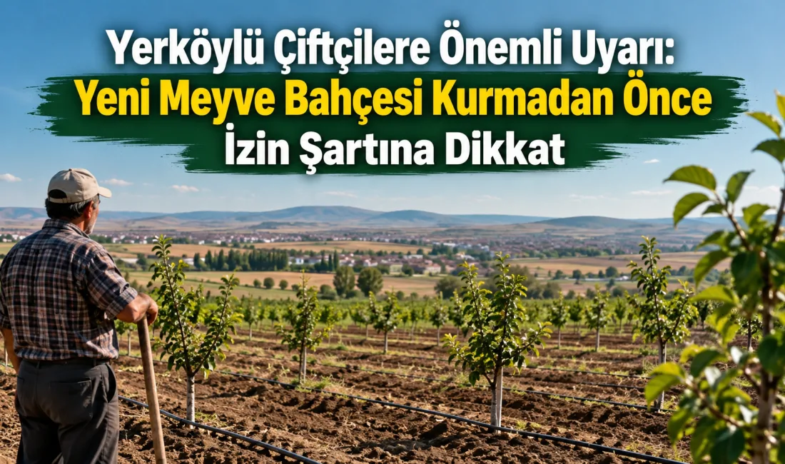 Yerköy İlçe Tarım ve Orman Müdürlüğü, yeni meyve bahçesi kurmayı