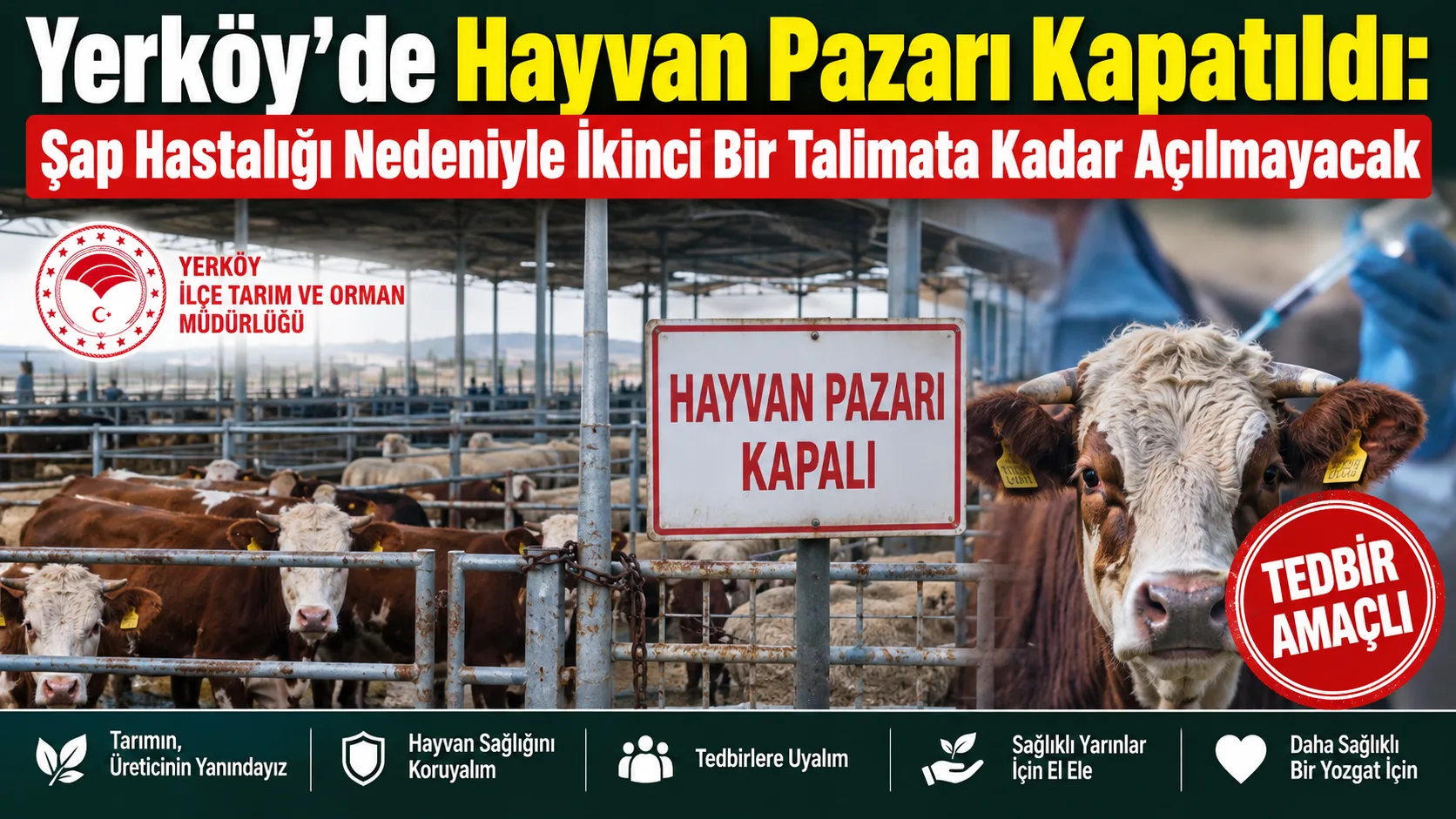 Çevre illerde görülen şap hastalığı nedeniyle Yozgat genelinde dikkat çeken