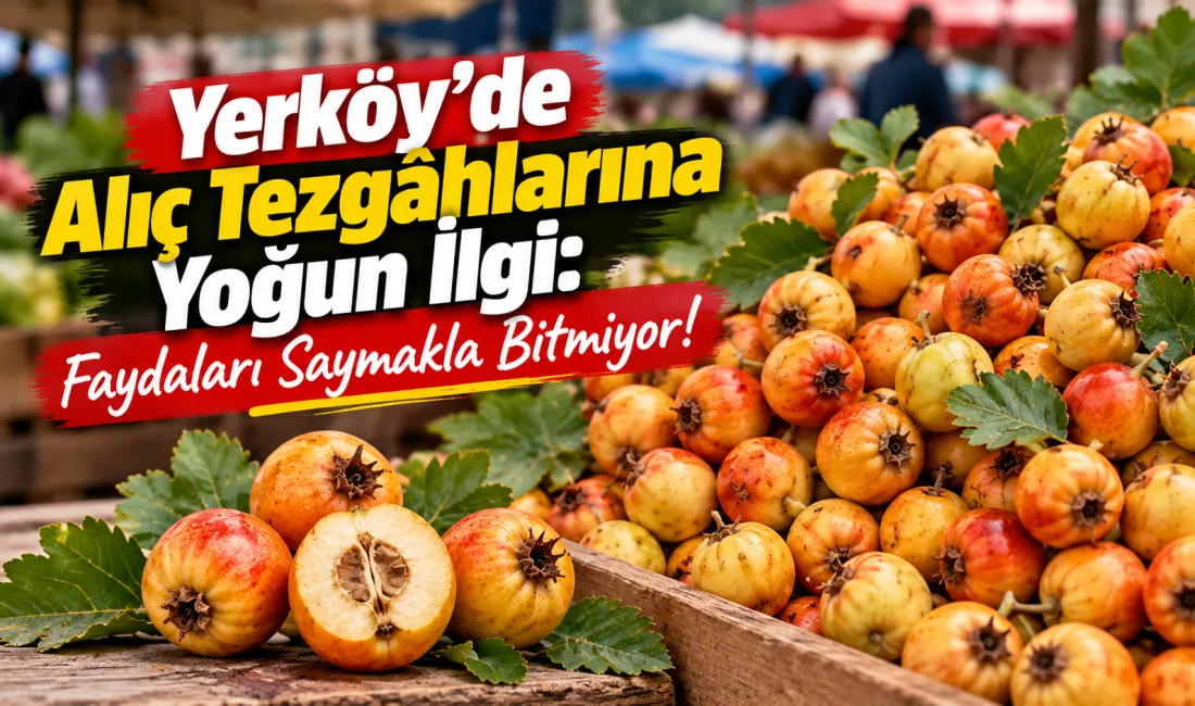 Yerköy ilçemizde kurulan köylü pazarında, sonbahar mevsiminin sevilen meyvelerinden alıç