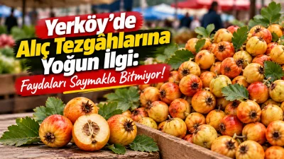 Yerköy ilçemizde kurulan köylü pazarında, sonbahar mevsiminin sevilen meyvelerinden alıç