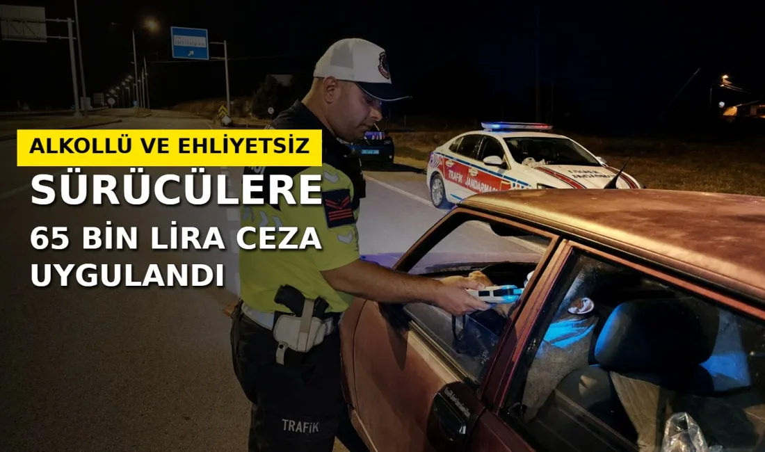 Yozgat'ın Sarıkaya ve Sorgun ilçelerinde jandarma tarafından yapılan trafik denetimlerinde