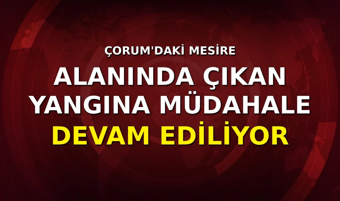Çorum'un Bayat ilçesinde mesire alanında çıkan yangına müdahale ediliyor.