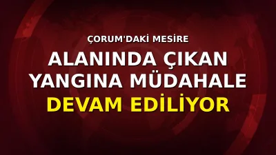 Çorum'un Bayat ilçesinde mesire alanında çıkan yangına müdahale ediliyor.