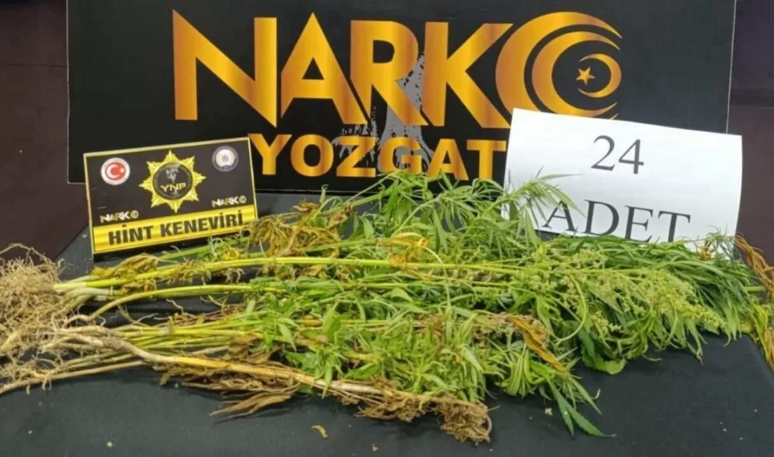 Yozgat'ta yapılan uyuşturucu operasyonunda, 1 şüpheli yakalandı ve 24 kök