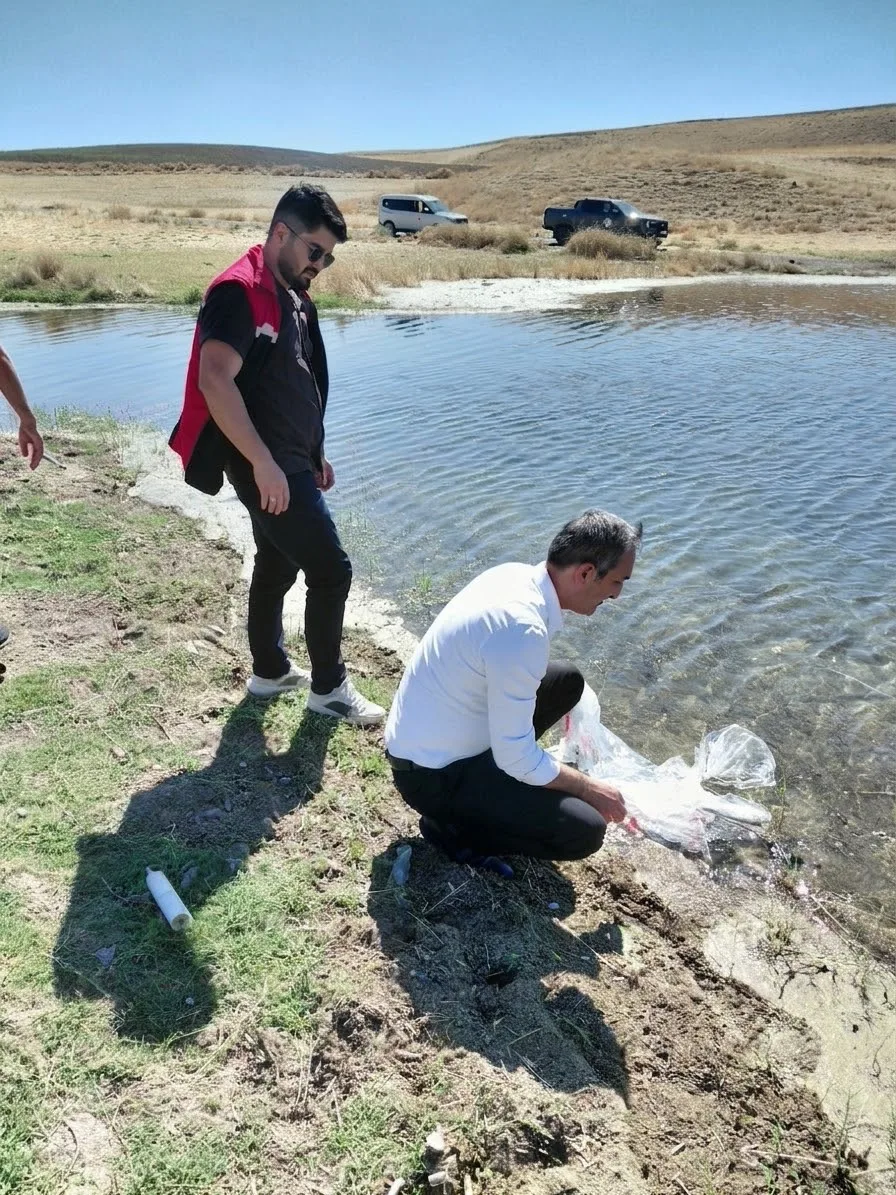 Yerköy’de İnandık Barajı’na Balık Takviyesi! Binlerce Balık İçin Yeni Yaşam Alanı Yerköy’de İnandık Barajı’na Balık Takviyesi! Binlerce Balık İçin Yeni Yaşam Alanı