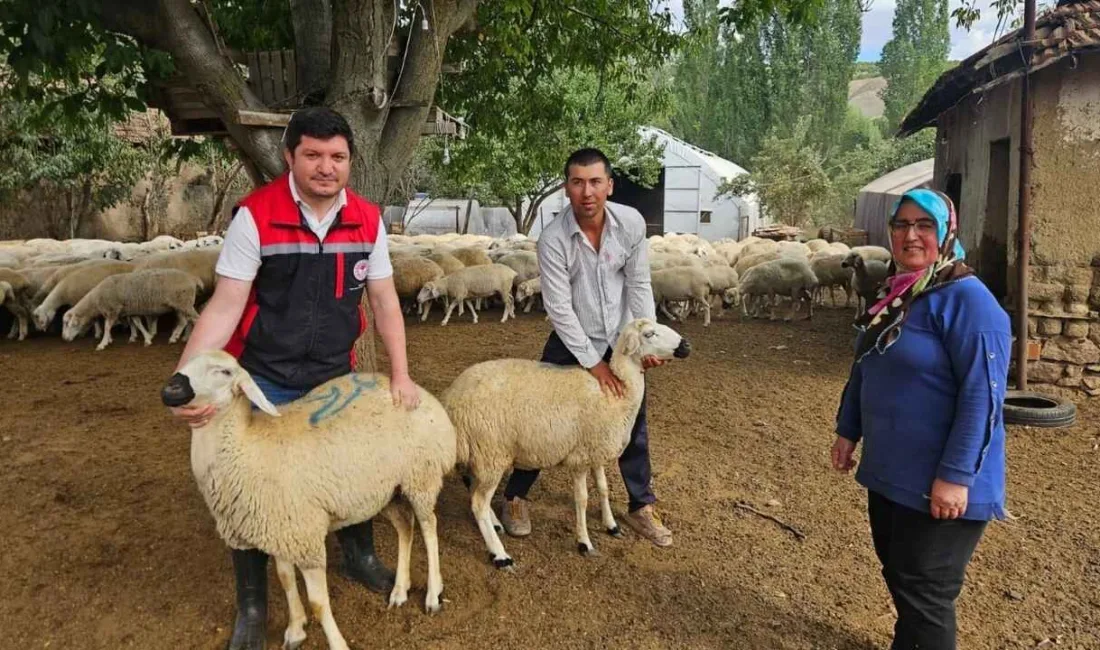 Yozgat'ın Sorgun ilçesinde, Tarım ve Orman Bakanlığı tarafından uygulanan “Kırsalda