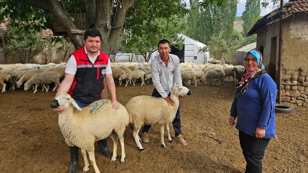 Yozgat'ın Sorgun ilçesinde, Tarım ve Orman Bakanlığı tarafından uygulanan “Kırsalda