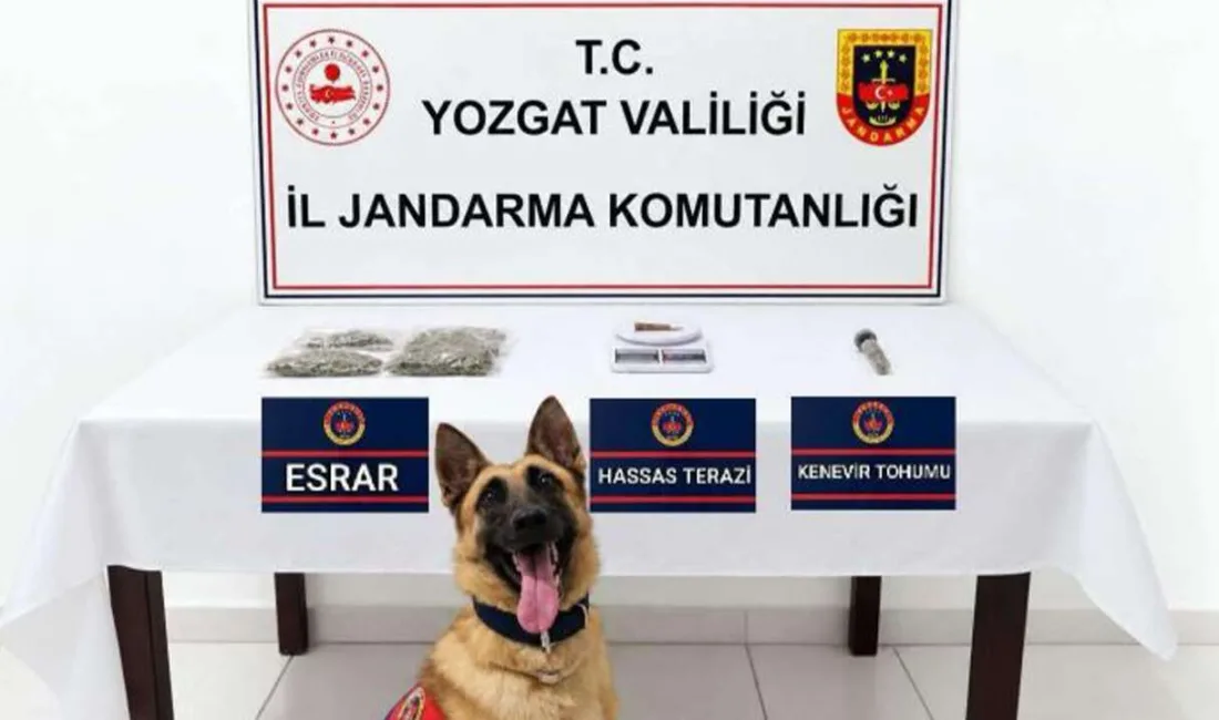 Yozgat’ta jandarma ekipleri tarafından gerçekleştirilen iki ayrı uyuşturucu operasyonunda, Sorgun’da