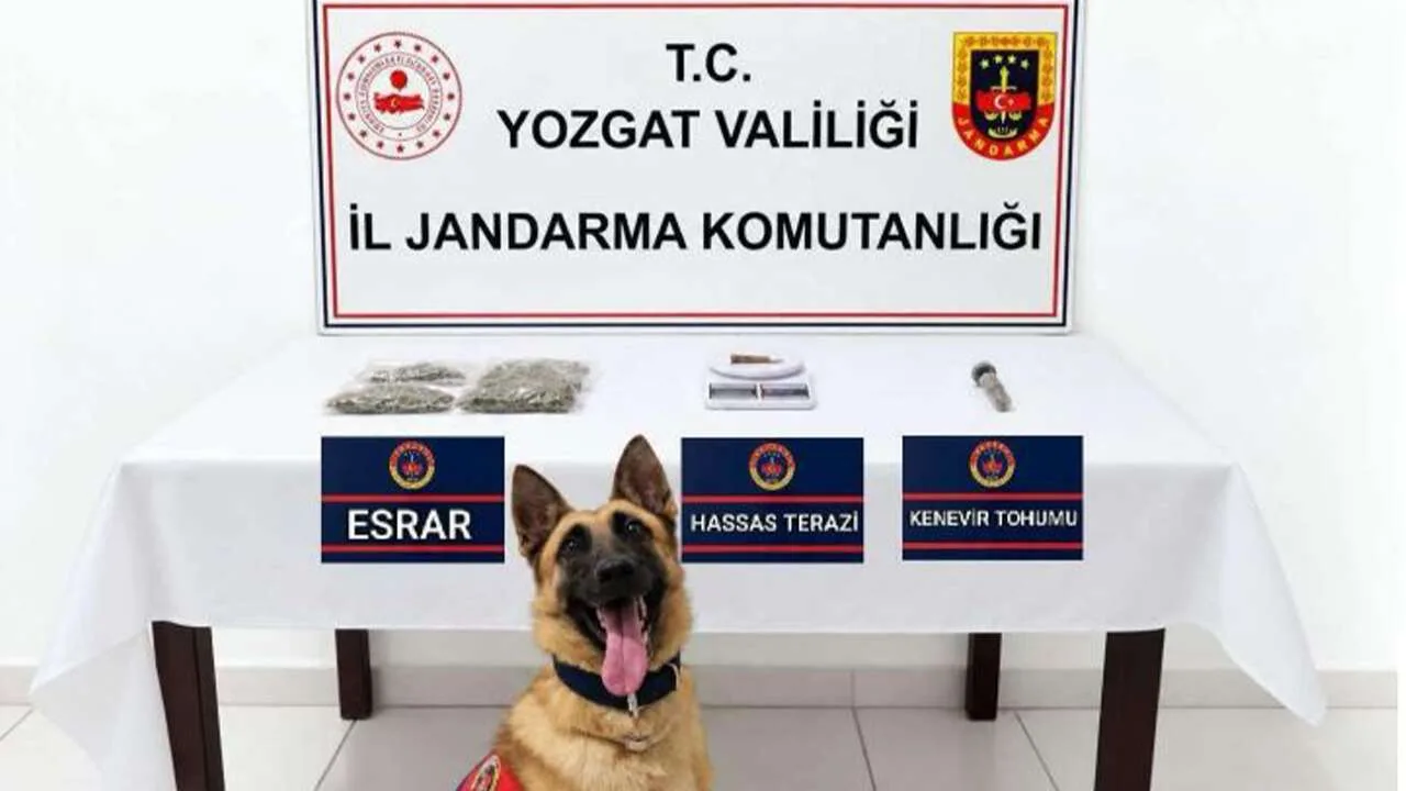 Yozgat’ta jandarma ekipleri tarafından gerçekleştirilen iki ayrı uyuşturucu operasyonunda, Sorgun’da