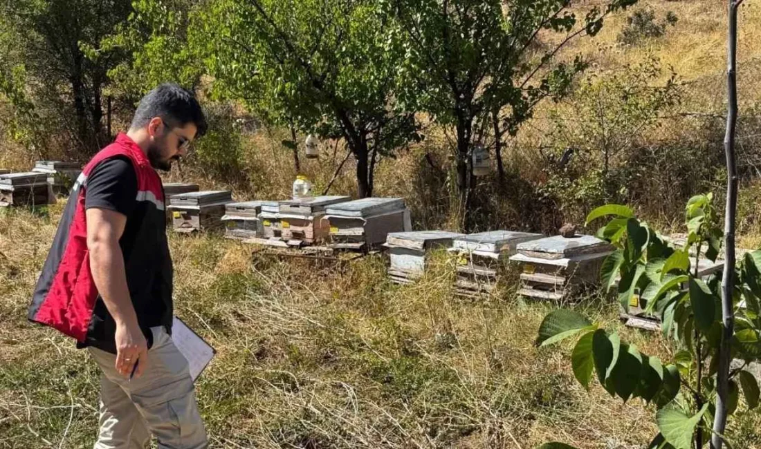 Yerköy İlçe Tarım ve Orman Müdürlüğü ekipleri arıcılık faaliyetlerine yönelik