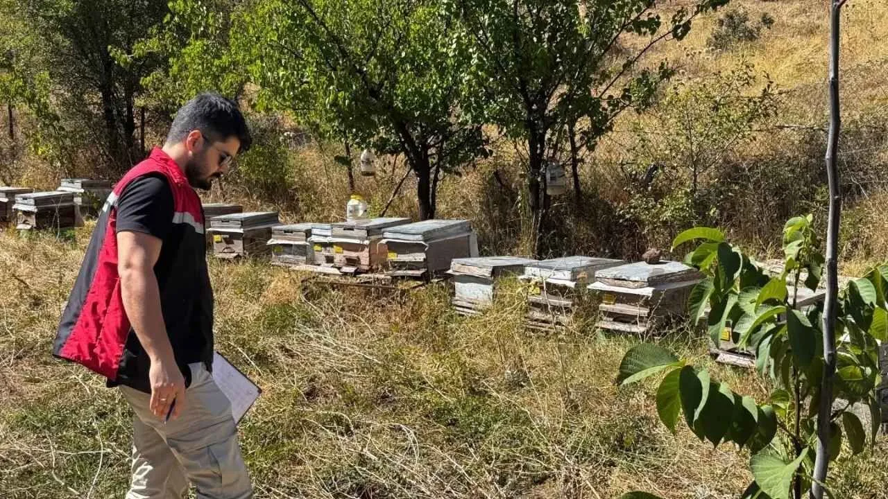 Yerköy İlçe Tarım ve Orman Müdürlüğü ekipleri arıcılık faaliyetlerine yönelik