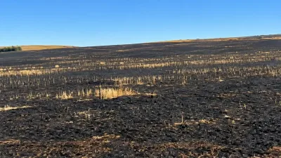 Yozgat'ta Alaca yol ayrımı havaalanı şantiyesi yakınlarında çıkan anız yangını,