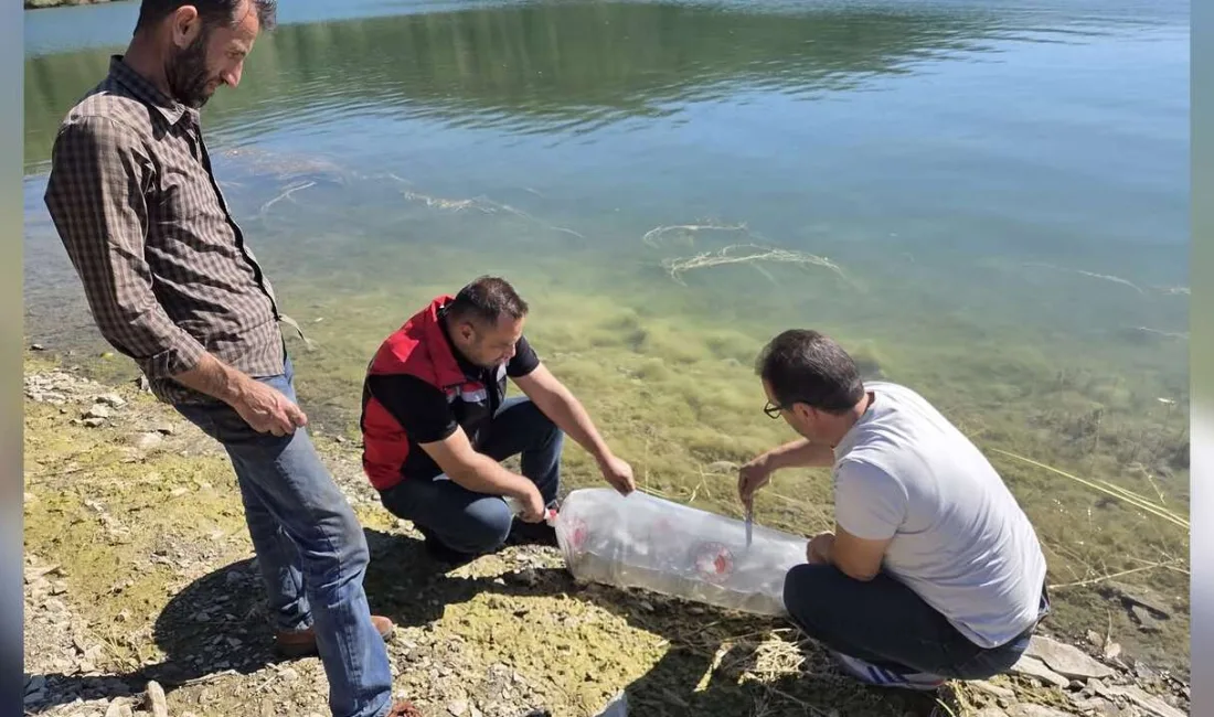 Yozgat'ın Çayıralan ilçesindeki Yahyasaray Barajı'na, su ürünleri varlığını artırmak amacıyla