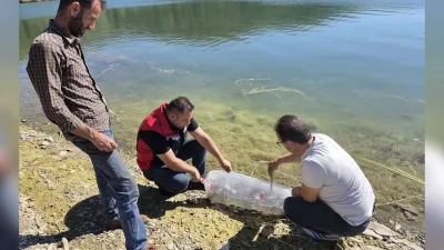 Yozgat'ın Çayıralan ilçesindeki Yahyasaray Barajı'na, su ürünleri varlığını artırmak amacıyla