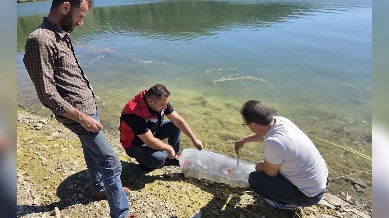 Yozgat'ın Çayıralan ilçesindeki Yahyasaray Barajı'na, su ürünleri varlığını artırmak amacıyla