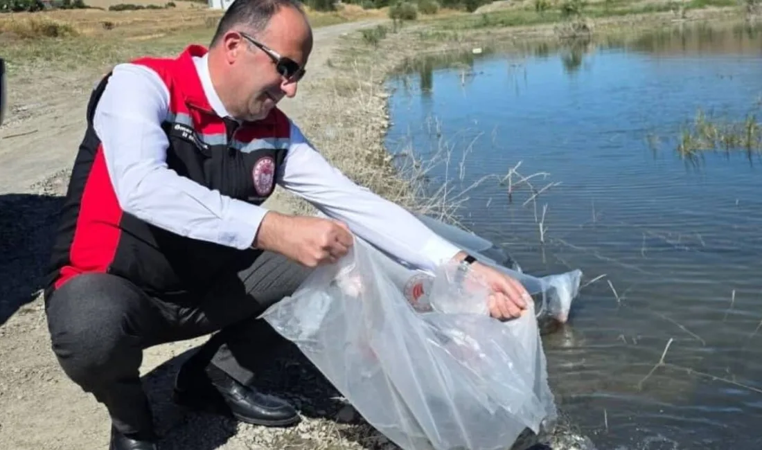 Yozgat'ta, Tarım ve Orman Bakanlığı tarafından yürütülen balıklandırma çalışmaları kapsamında