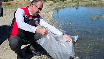 Yozgat'ta, Tarım ve Orman Bakanlığı tarafından yürütülen balıklandırma çalışmaları kapsamında