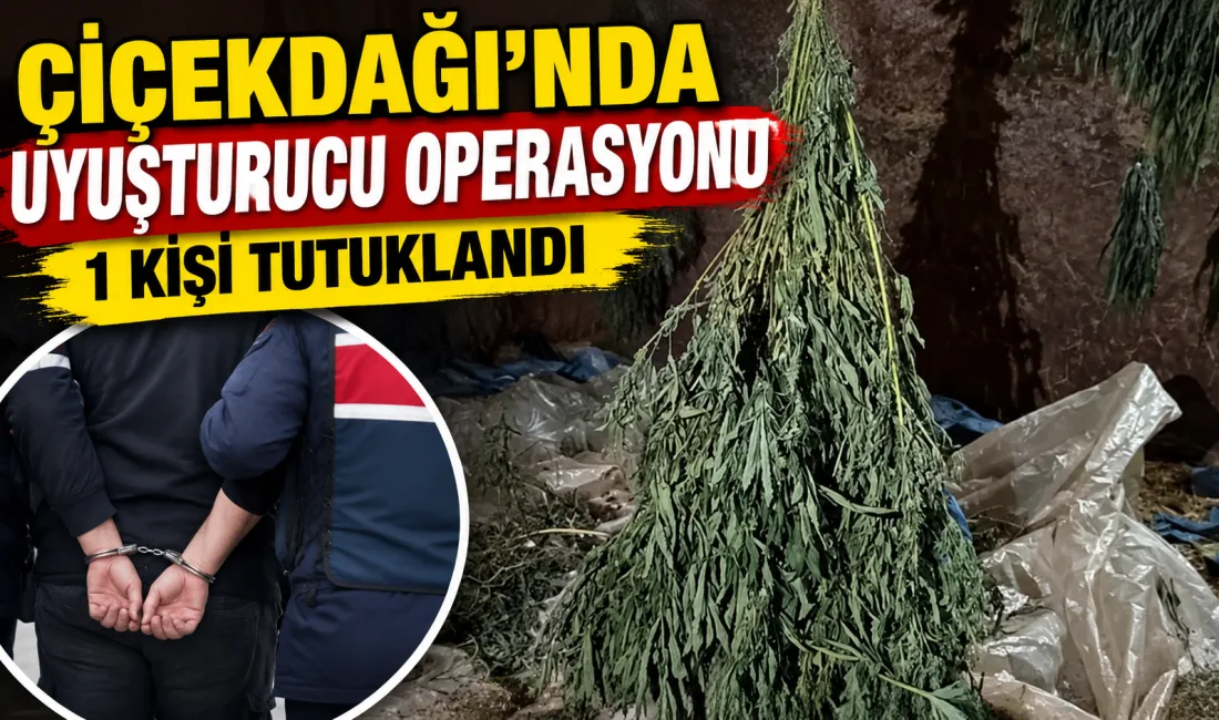 Kırşehir'in Çiçekdağı ilçesinde düzenlenen uyuşturucu operasyonunda gözaltına alınan iki şüpheliden