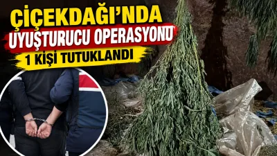 Kırşehir'in Çiçekdağı ilçesinde düzenlenen uyuşturucu operasyonunda gözaltına alınan iki şüpheliden