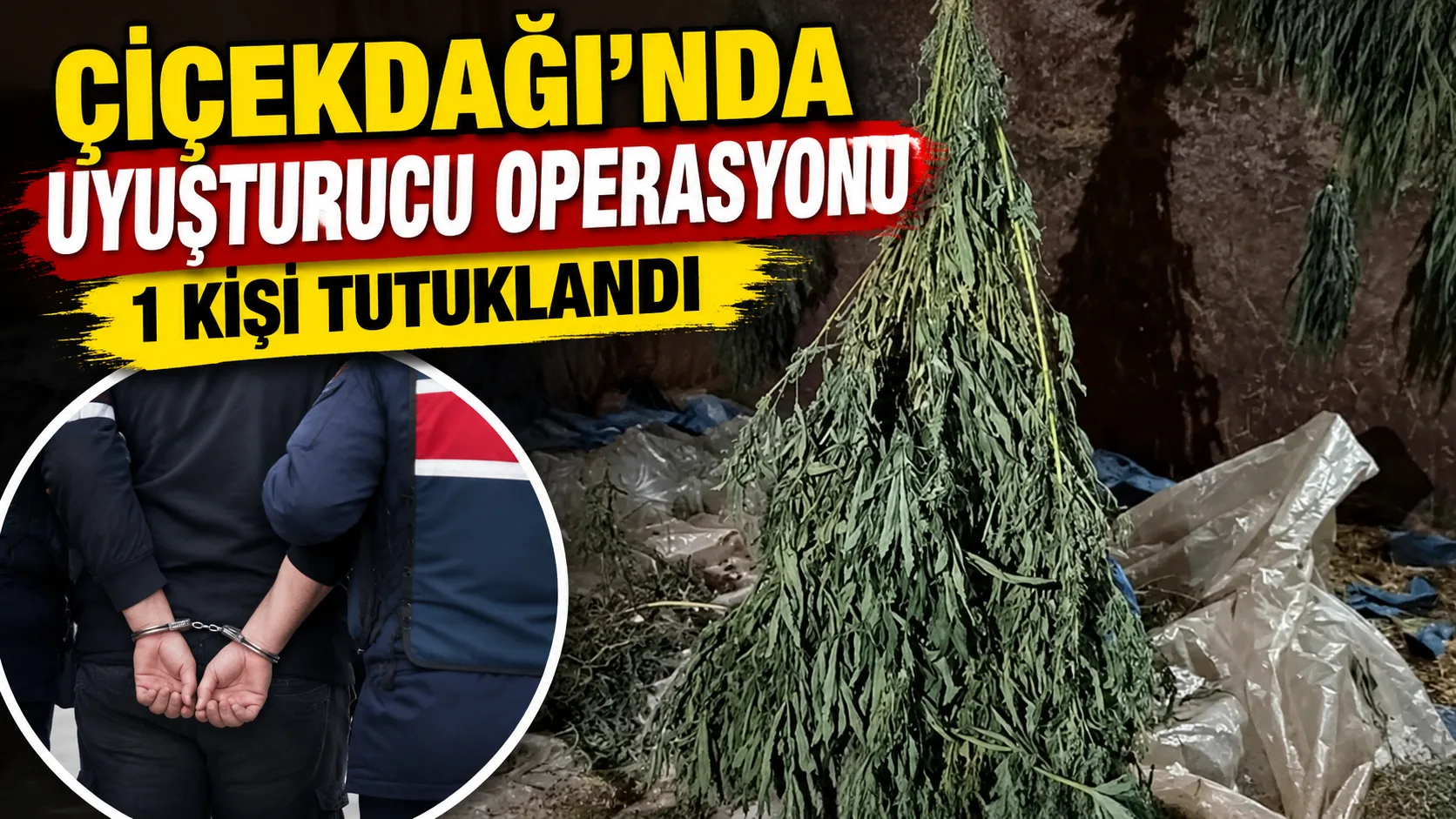 Kırşehir'in Çiçekdağı ilçesinde düzenlenen uyuşturucu operasyonunda gözaltına alınan iki şüpheliden