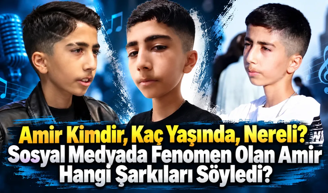 Sosyal medyada Türkçe şarkılara yaptığı kendine özgü yorumlarla tanınan Amir